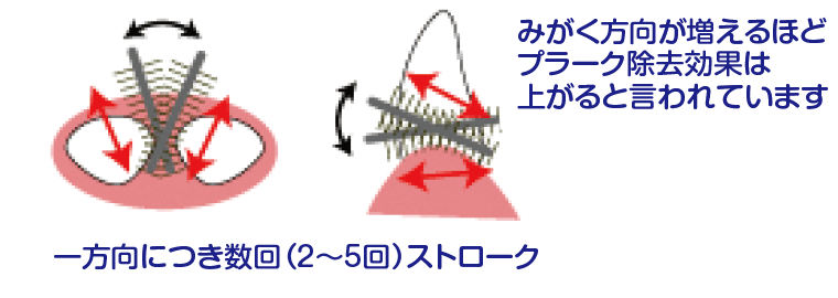 歯間ブラシの使い方