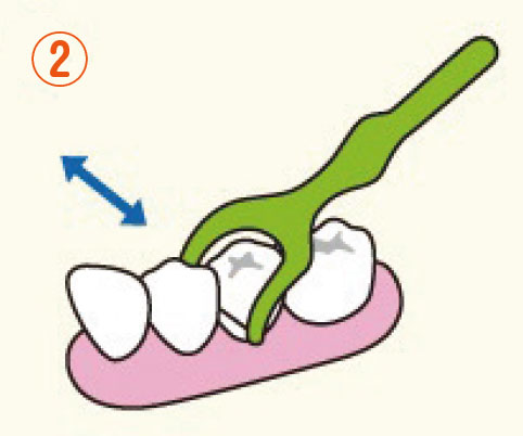 デンタルフロス　使い方②
